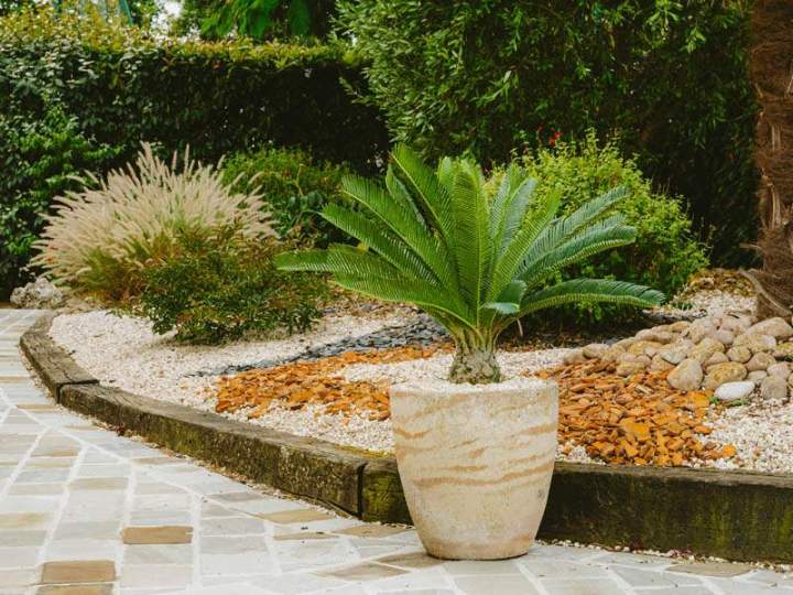 Création de jardins sur-mesure Ancenis