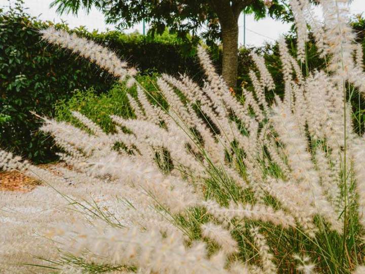 COULEUR NATURE SARL 18