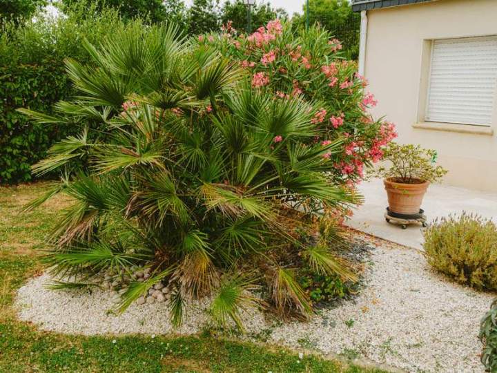 COULEUR NATURE SARL 21