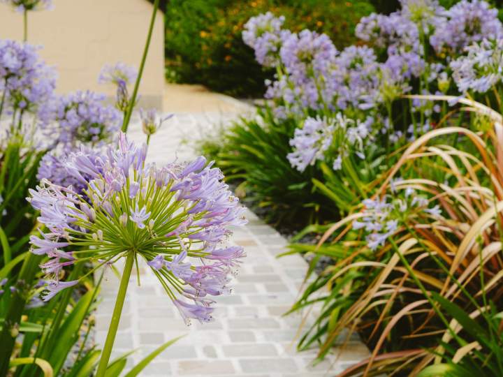 COULEUR NATURE SARL 8